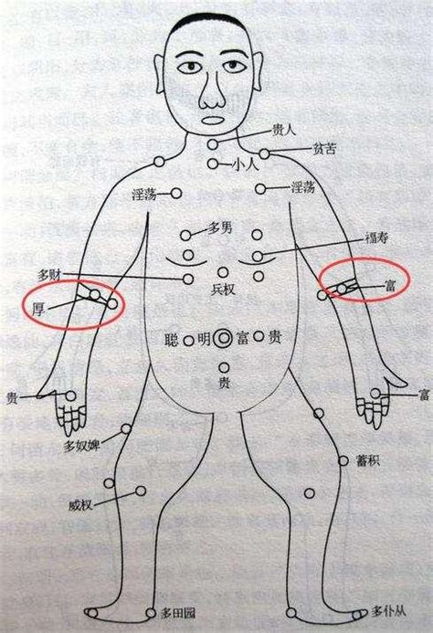 下手臂有痣|痣的位置透露出這些訊息！上手臂有痣不乏追求者、手。